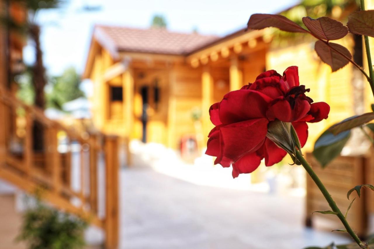 Hotel Bujtina Siar Pogradec Esterno foto
