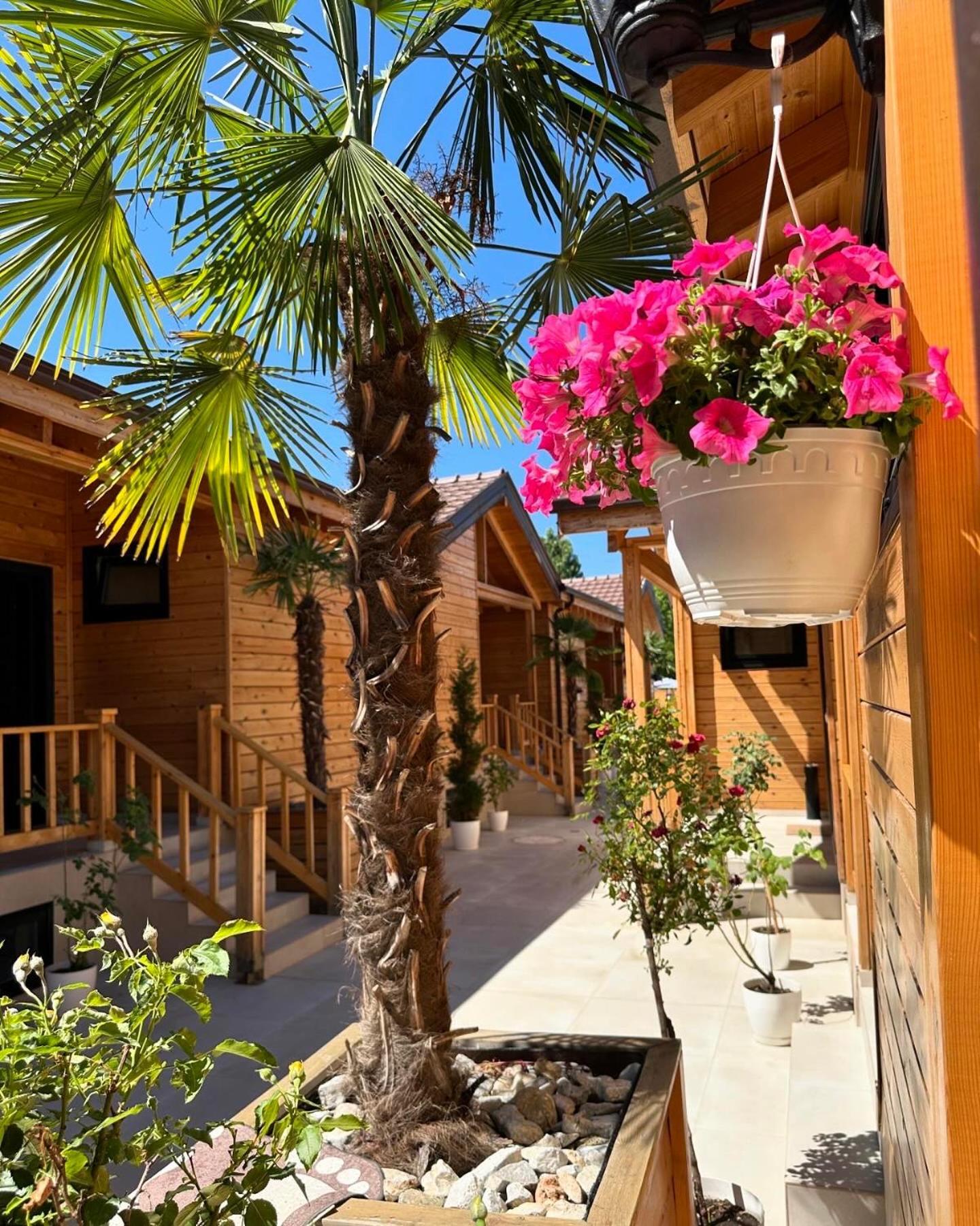 Hotel Bujtina Siar Pogradec Esterno foto