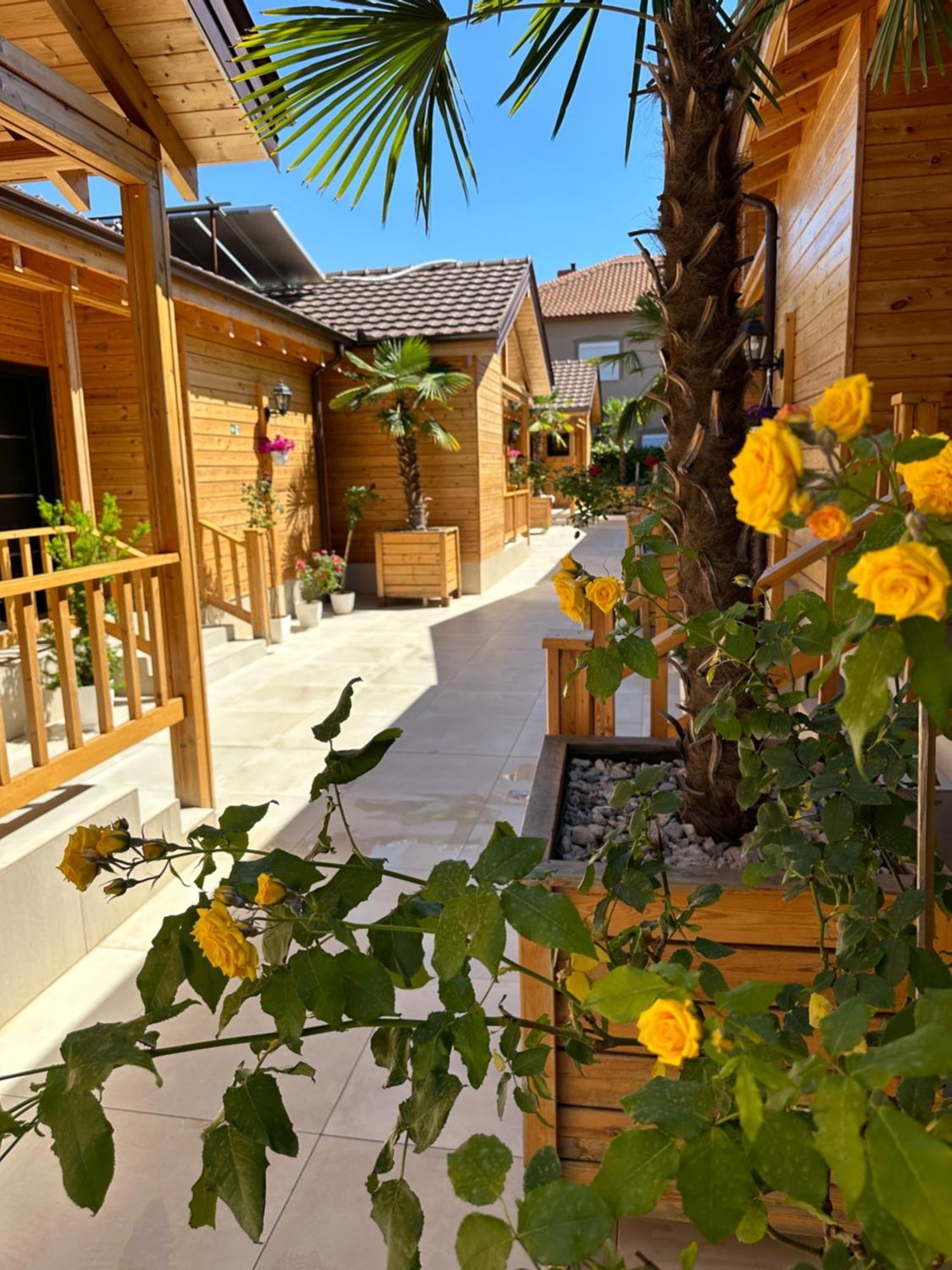 Hotel Bujtina Siar Pogradec Esterno foto